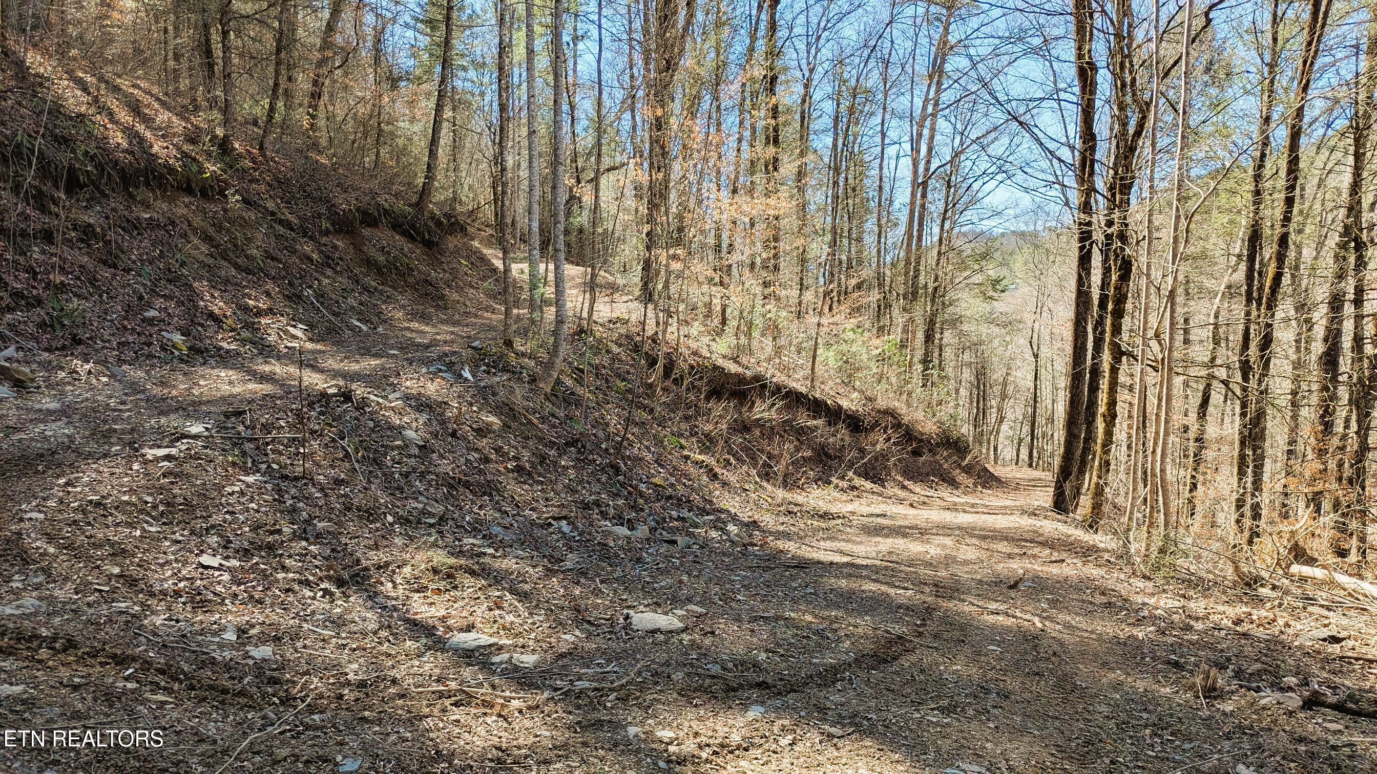 Carrs Creek Road Townsend TN 37882