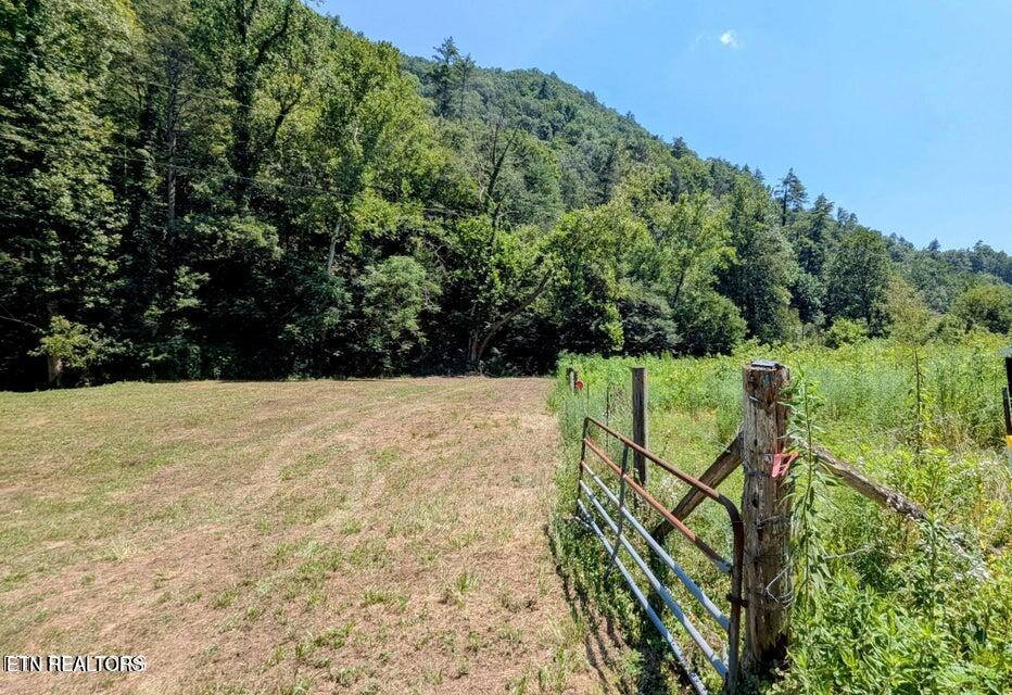 Carrs Creek Road Townsend TN 37882