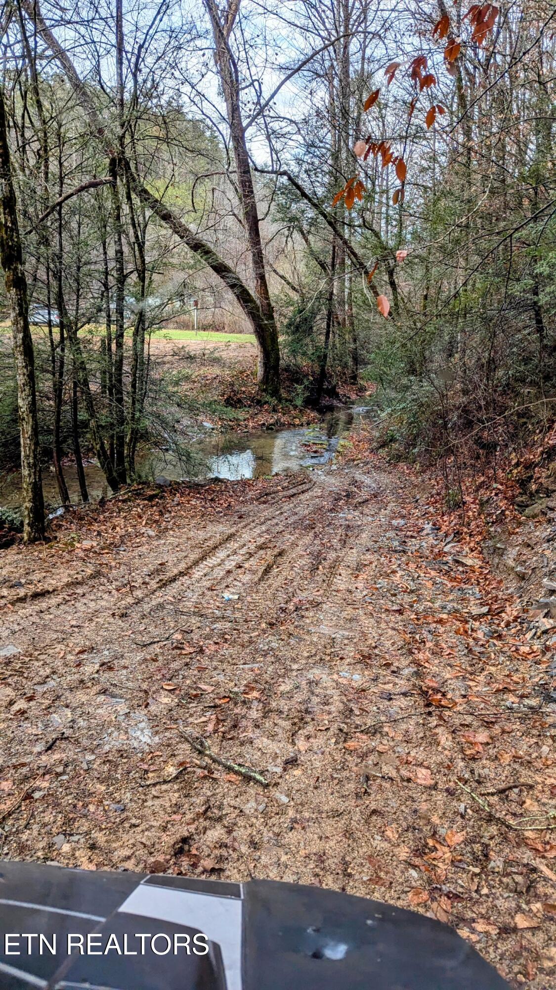 Carrs Creek Road Townsend TN 37882
