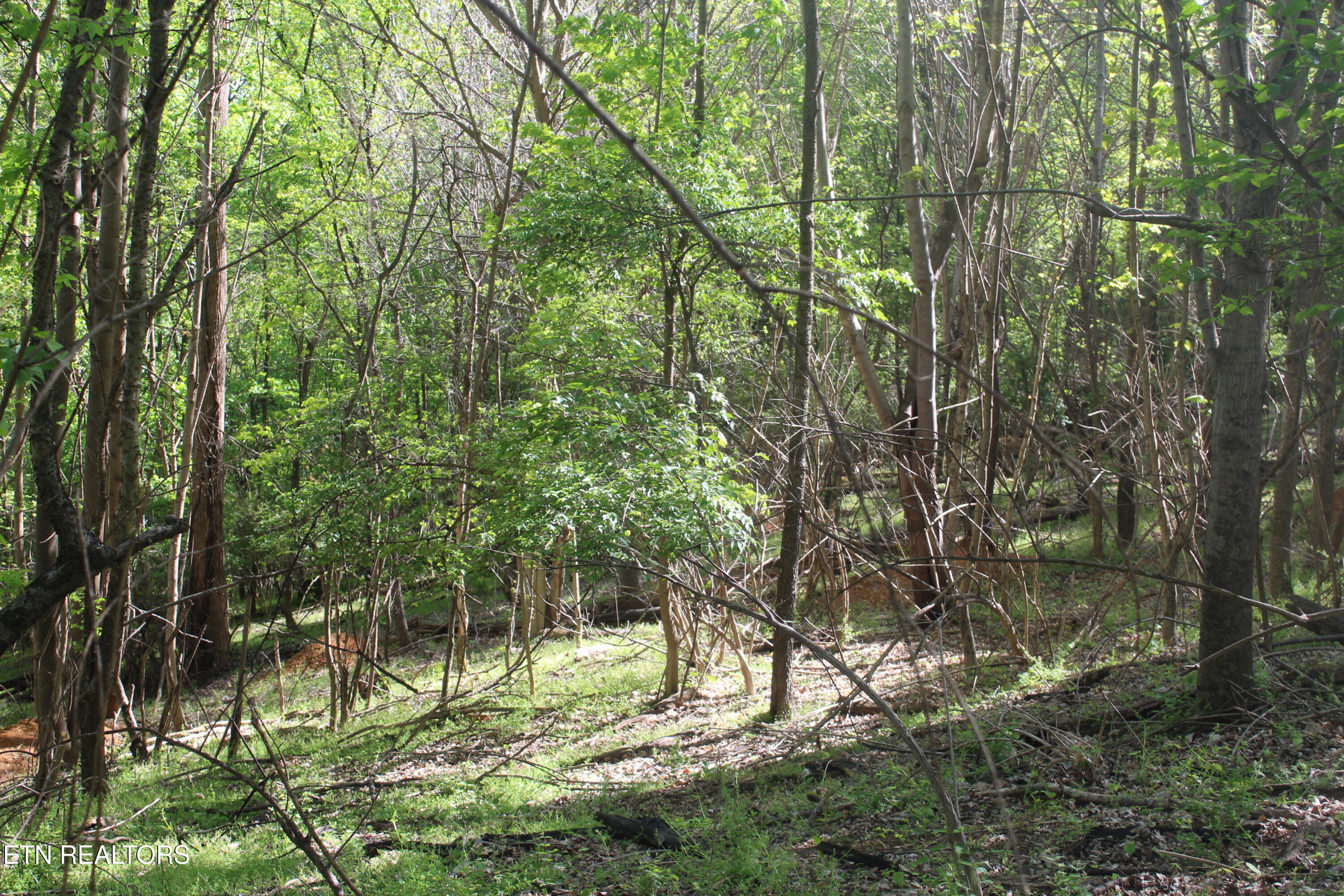 3780 Wayne Bryant Road Louisville TN 37777