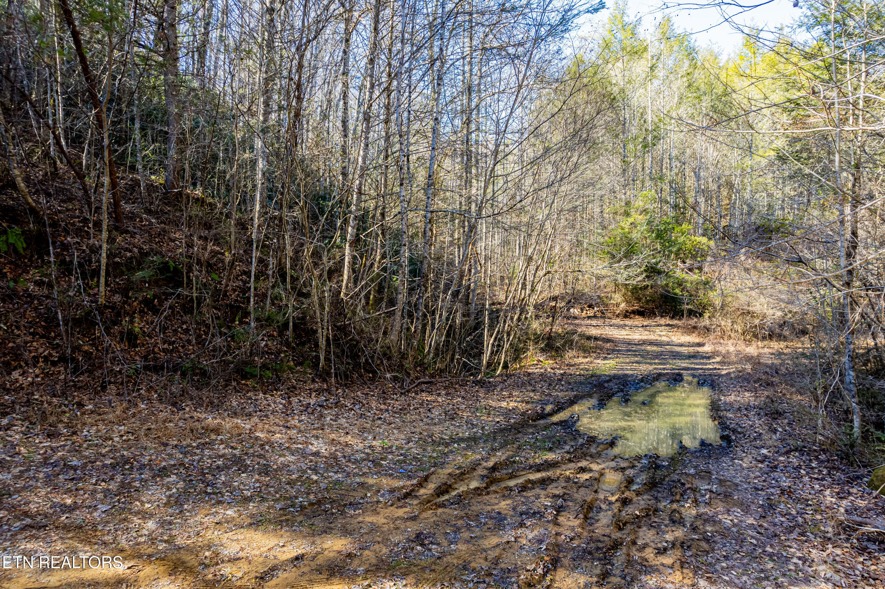 Raymond Way Cosby TN 37722