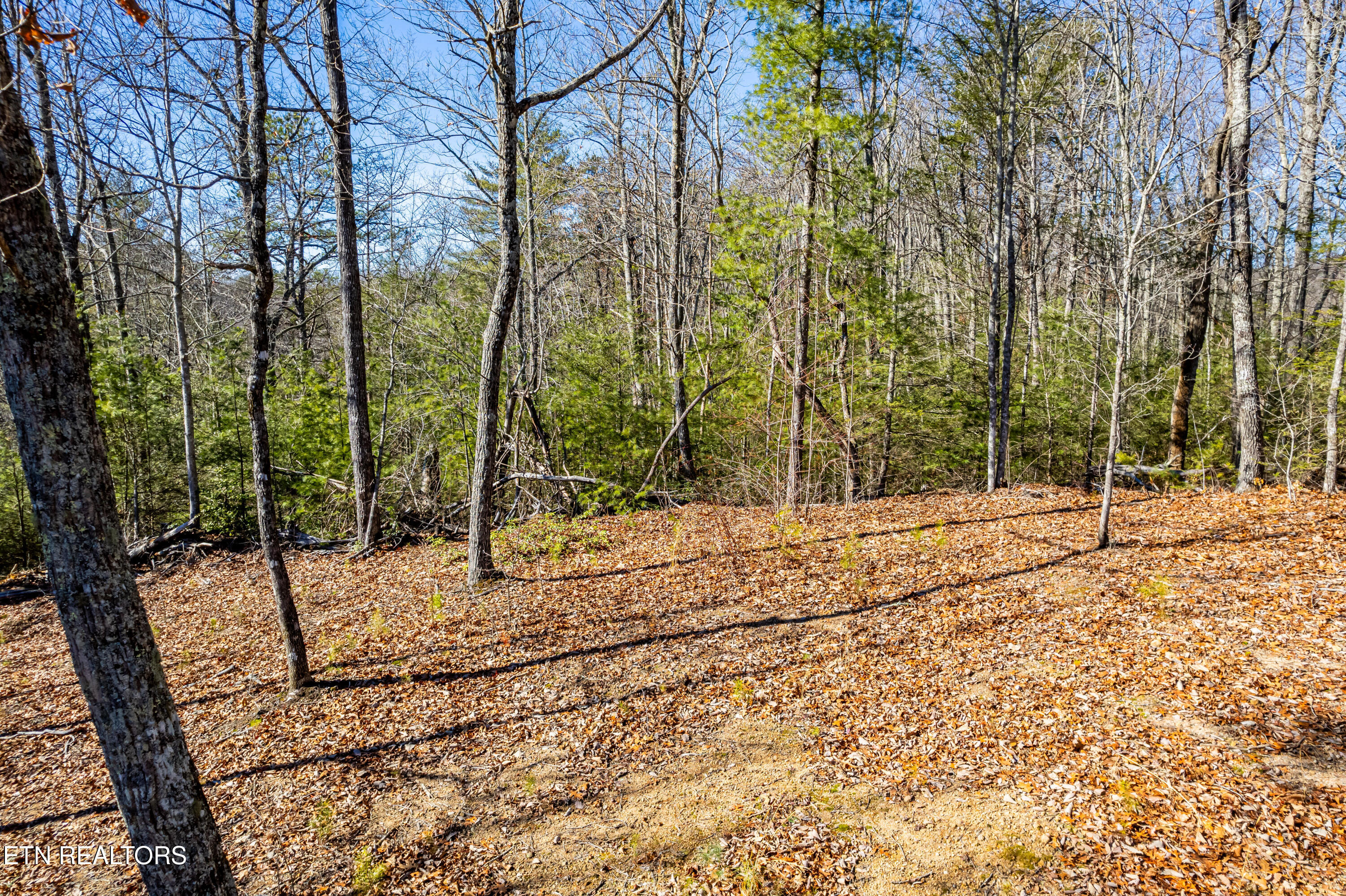 Raymond Way Cosby TN 37722