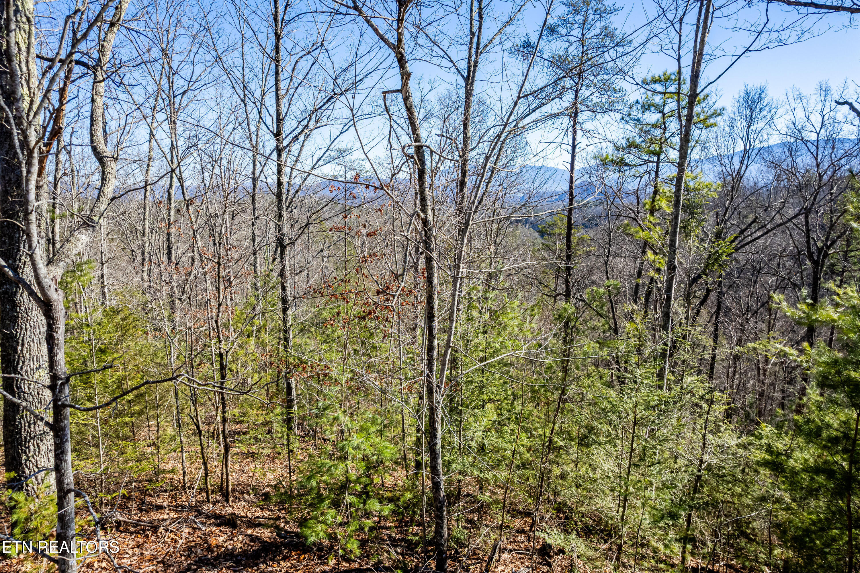 Raymond Way Cosby TN 37722