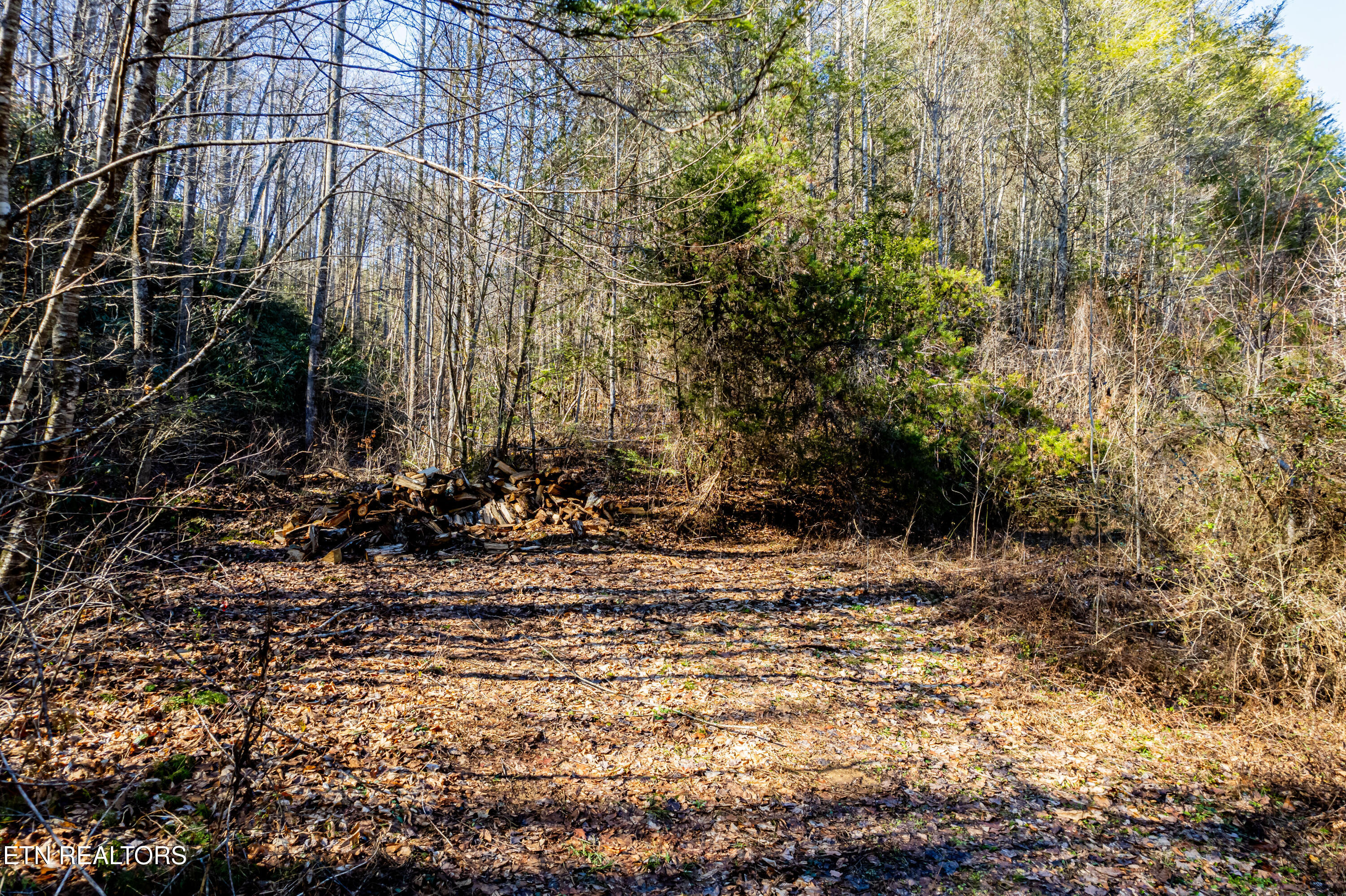 Raymond Way Cosby TN 37722