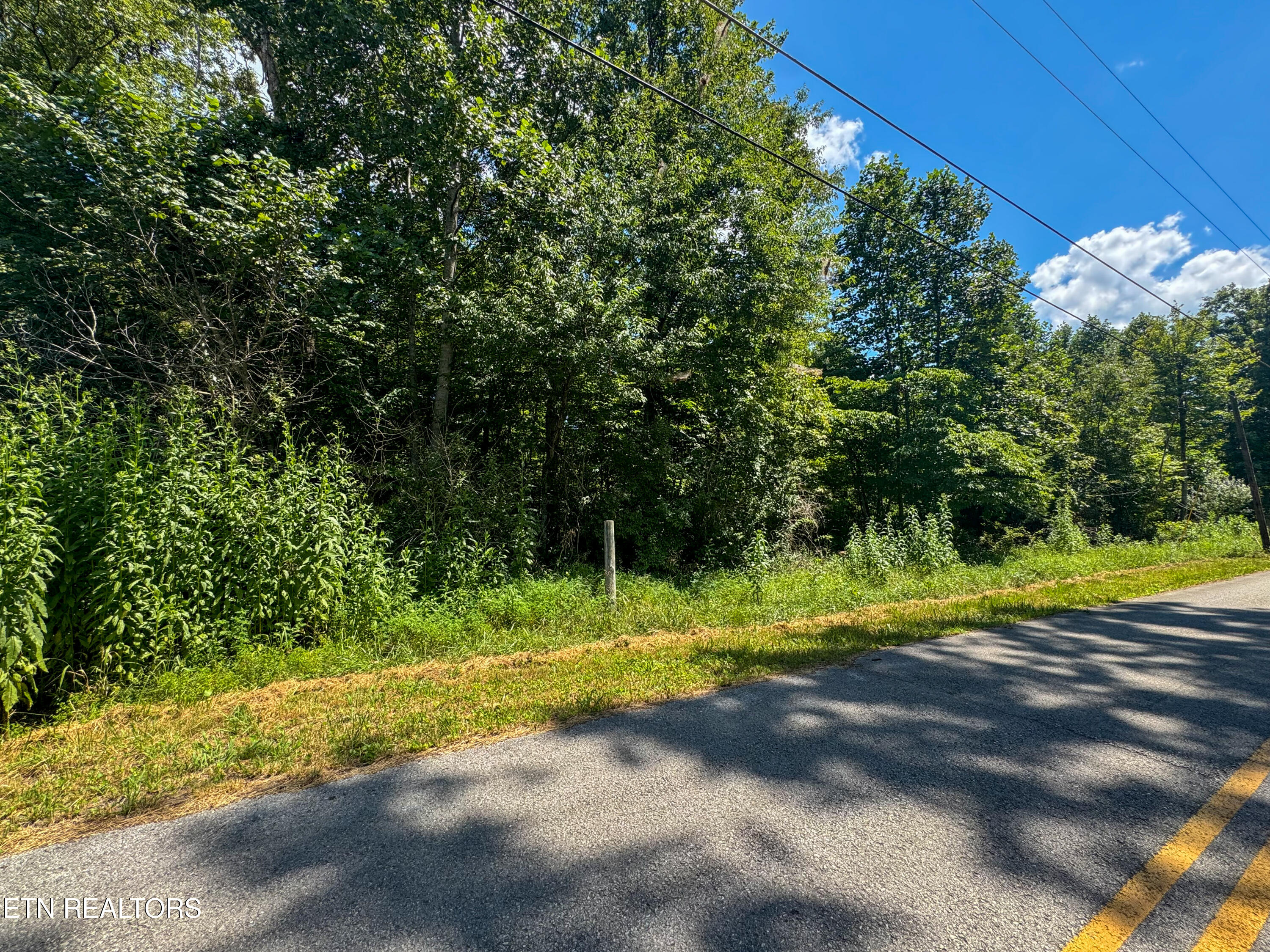 Burch Lane Winfield TN 37892
