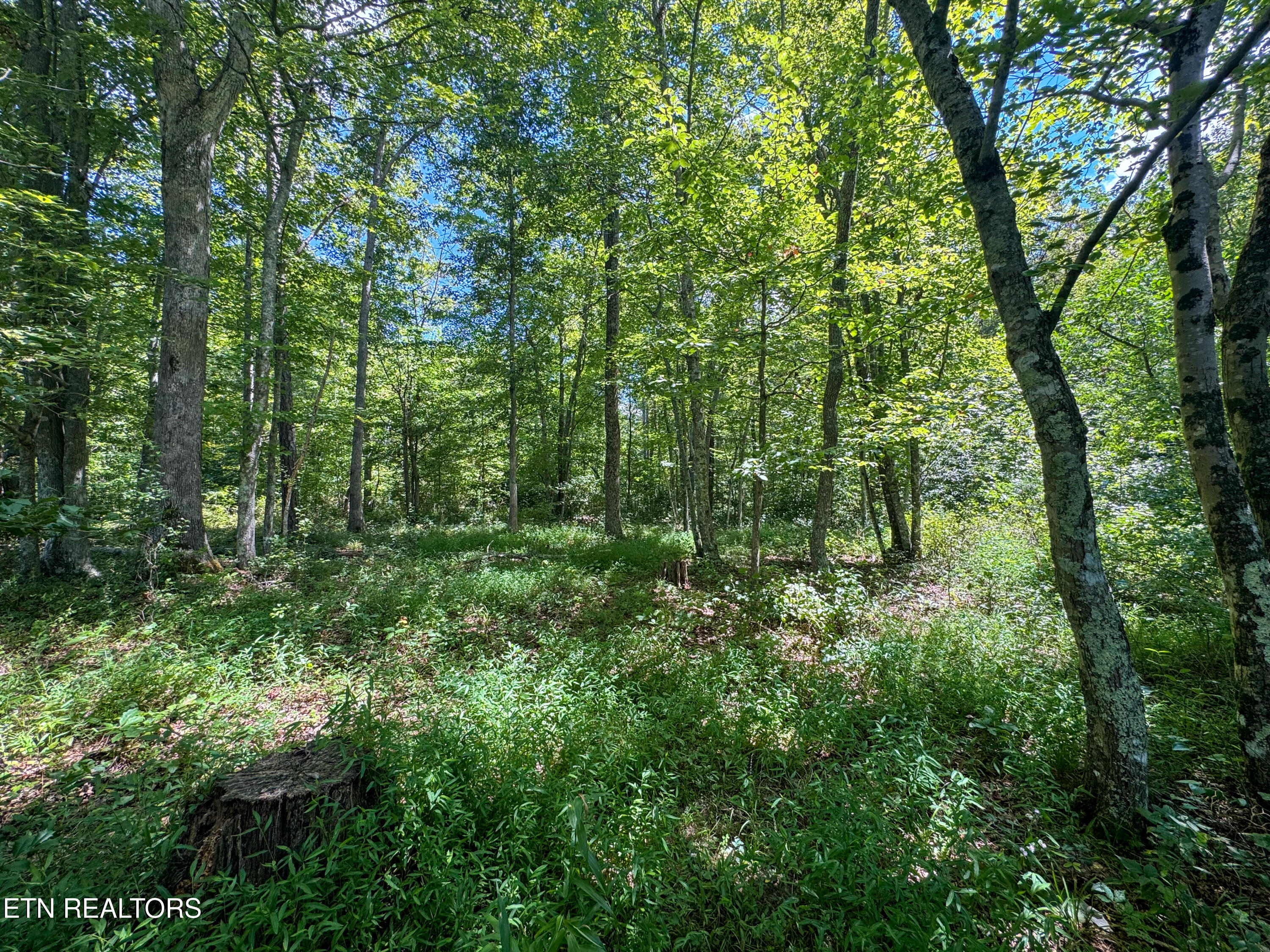Burch Lane Winfield TN 37892