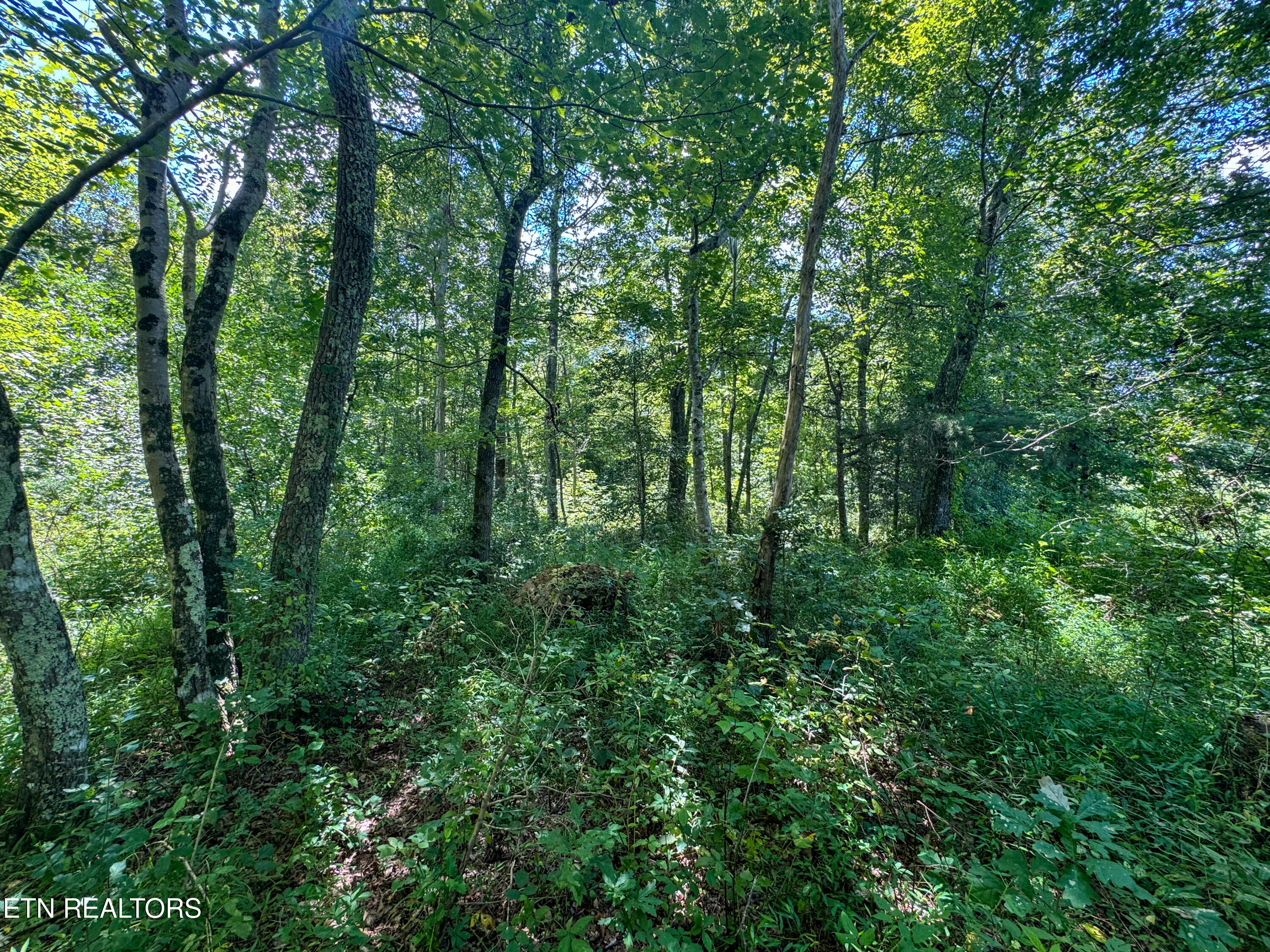 Burch Lane Winfield TN 37892