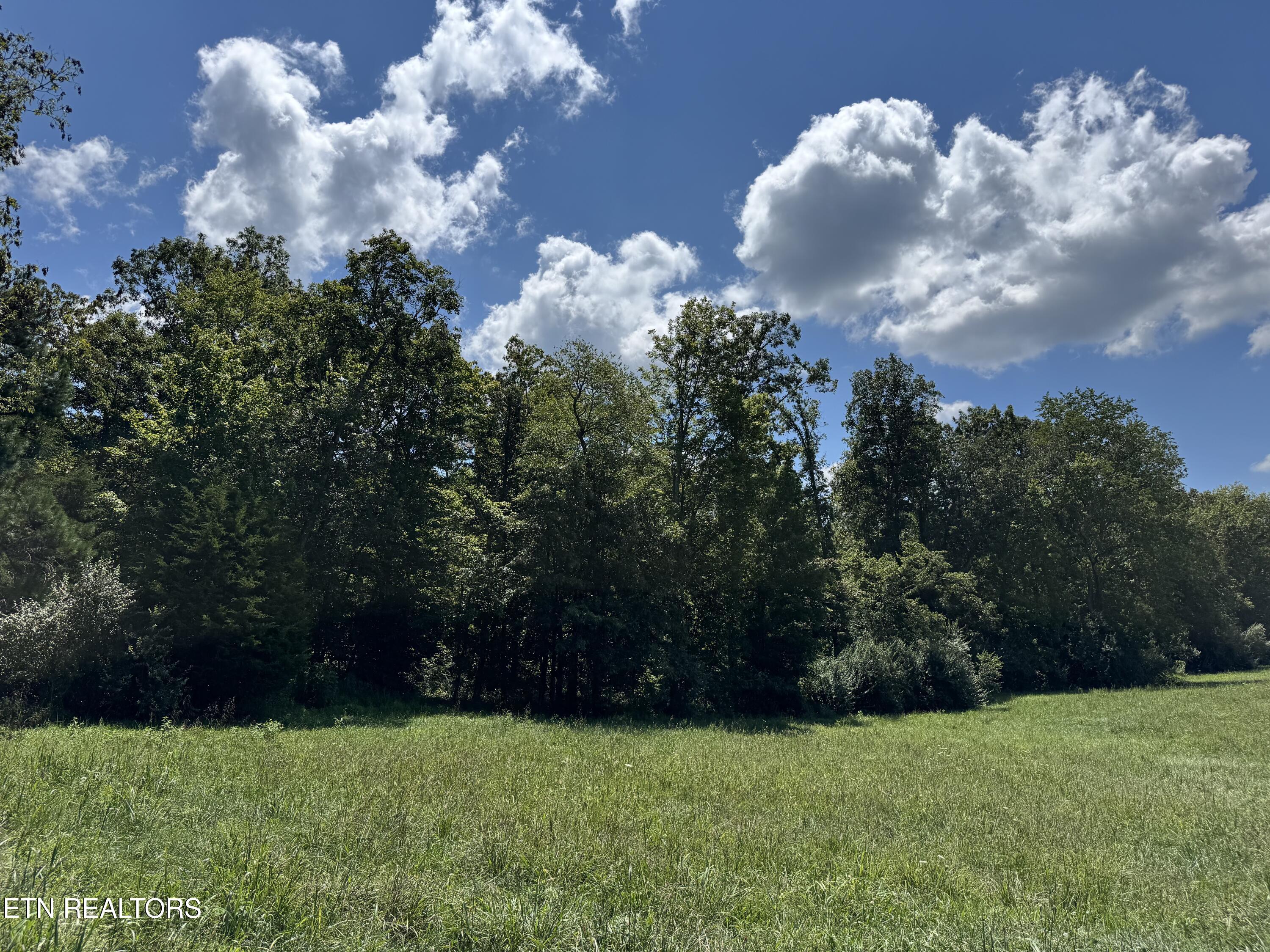 Burch Lane Winfield TN 37892