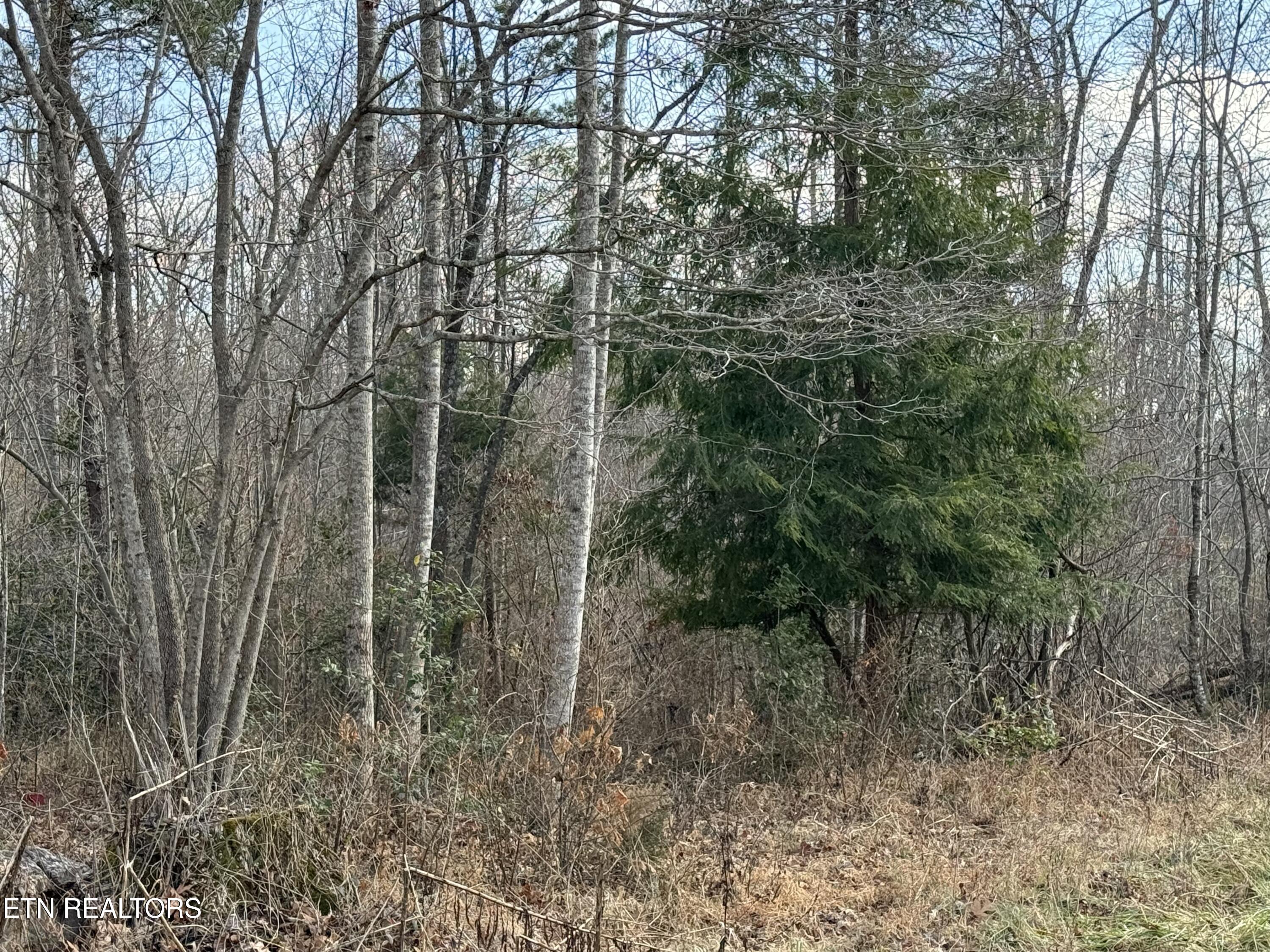 Burch Lane Winfield TN 37892