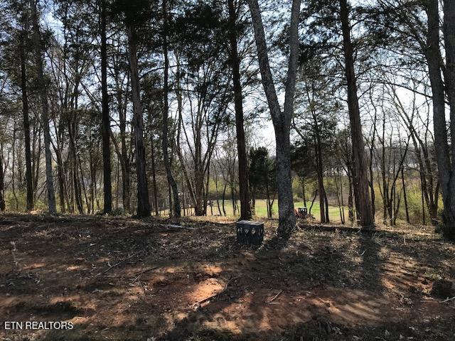 Star Lane Rockwood TN 37854