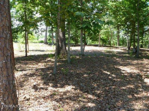 Star Lane Rockwood TN 37854