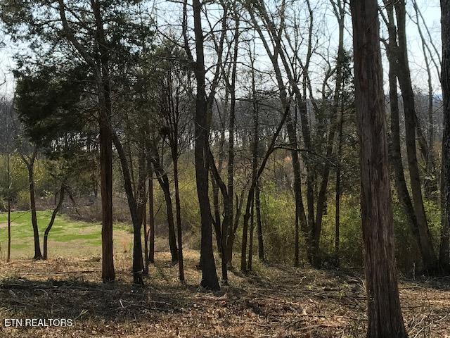 Star Lane Rockwood TN 37854