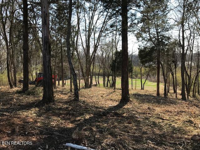 Star Lane Rockwood TN 37854