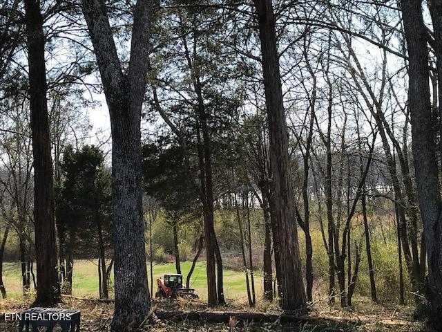 Star Lane Rockwood TN 37854