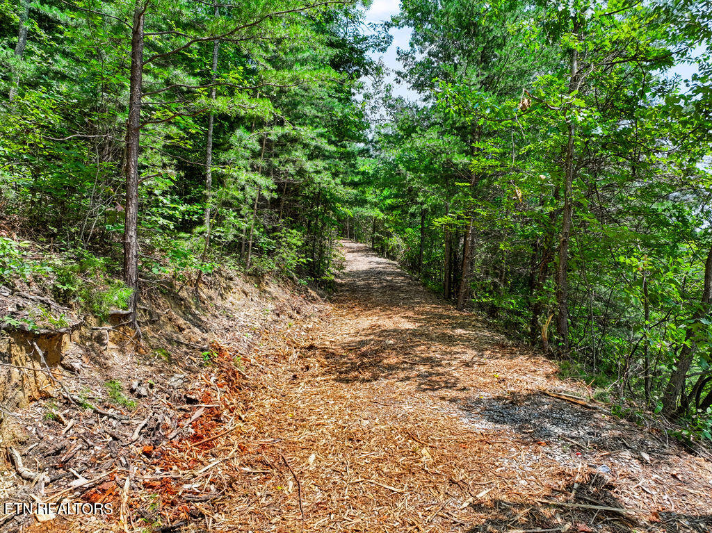 Lot 127e Settlers View Lane Sevierville TN 37862