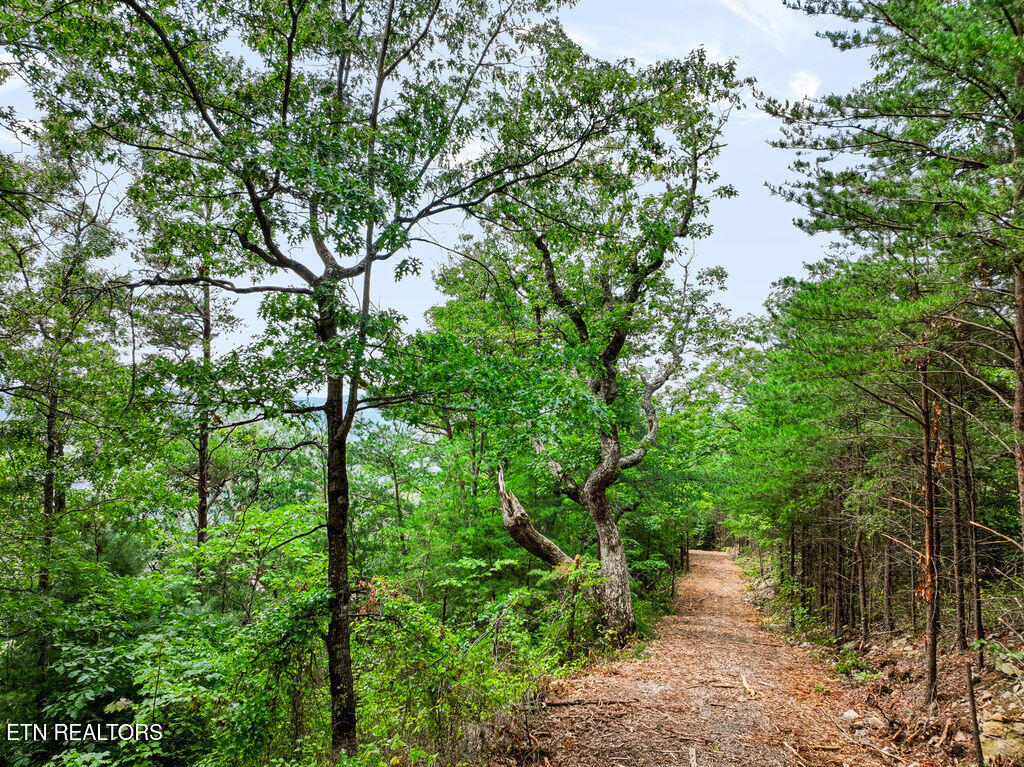 Lot 127e Settlers View Lane Sevierville TN 37862