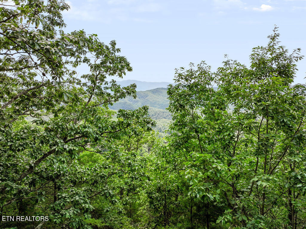 Lot 127e Settlers View Lane Sevierville TN 37862