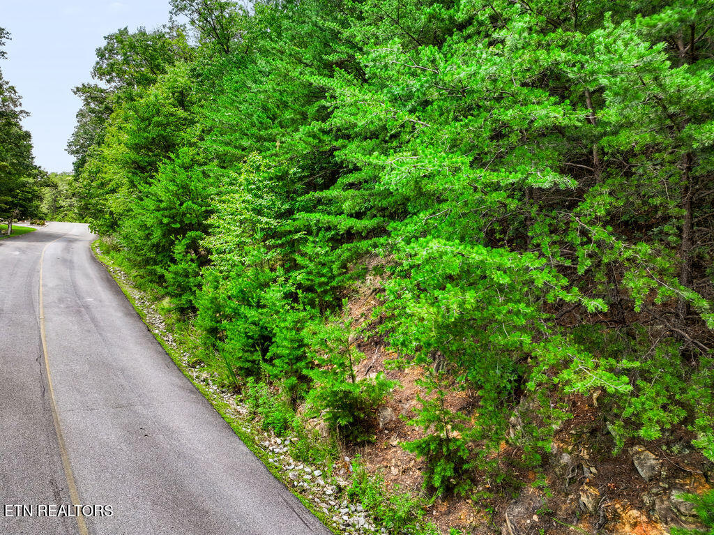 Lot 127e Settlers View Lane Sevierville TN 37862