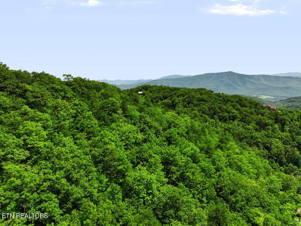 Lot 127e Settlers View Lane Sevierville TN 37862
