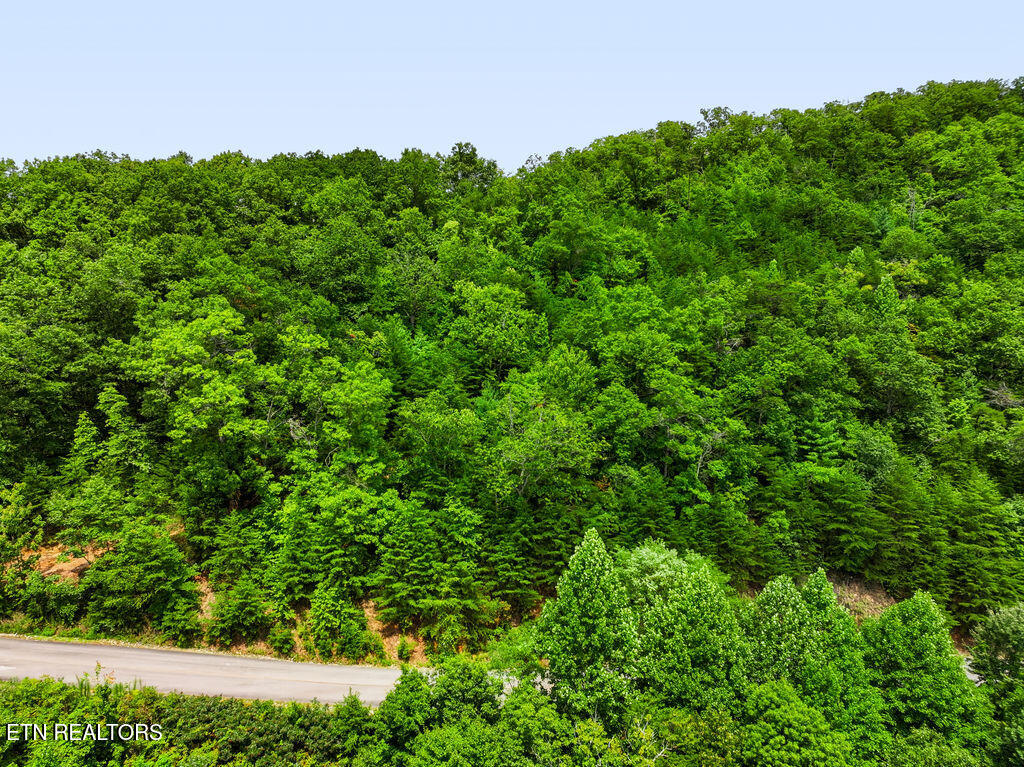 Lot 127e Settlers View Lane Sevierville TN 37862