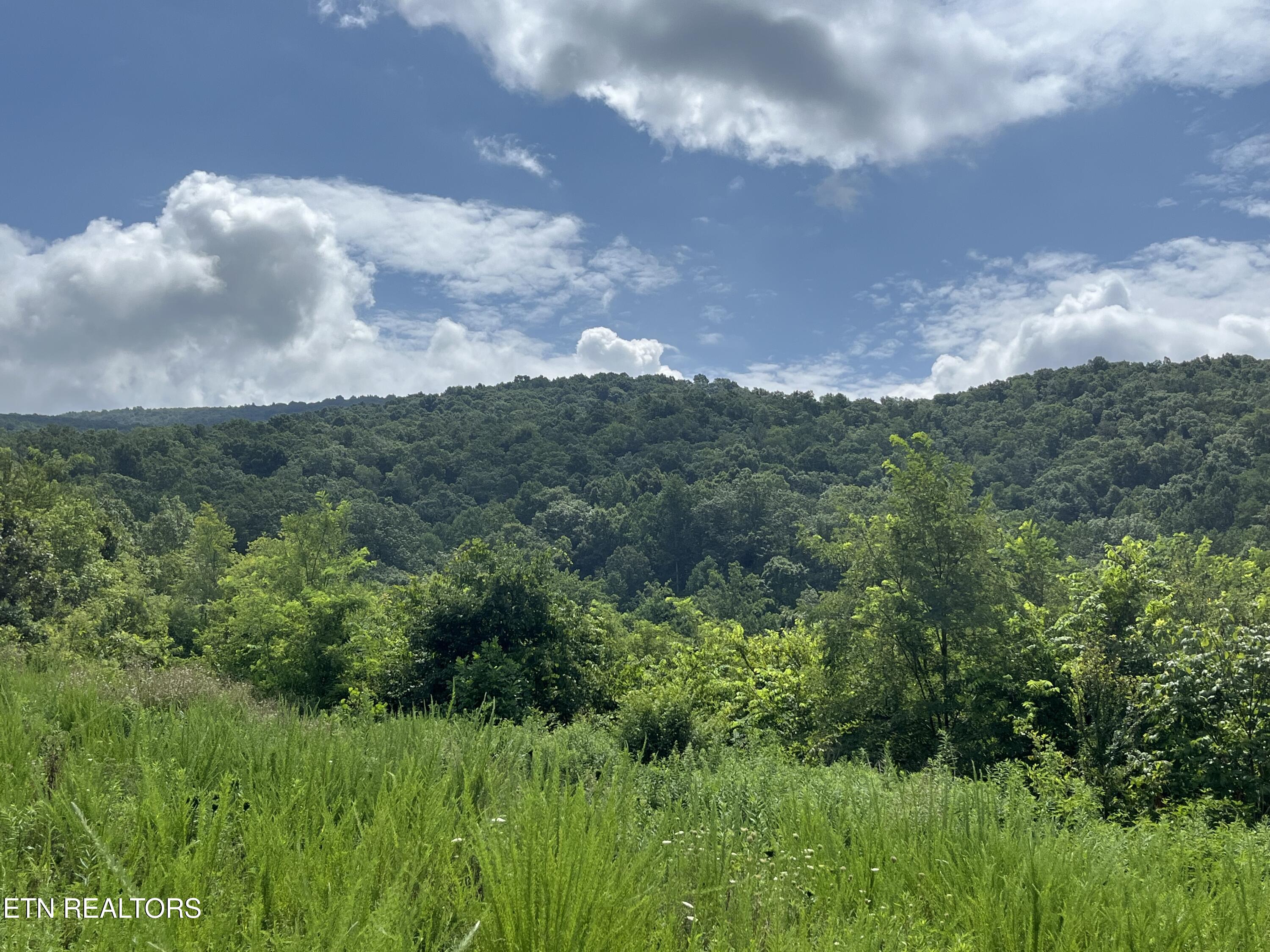 442 Billingsley Road Dunlap TN 37327