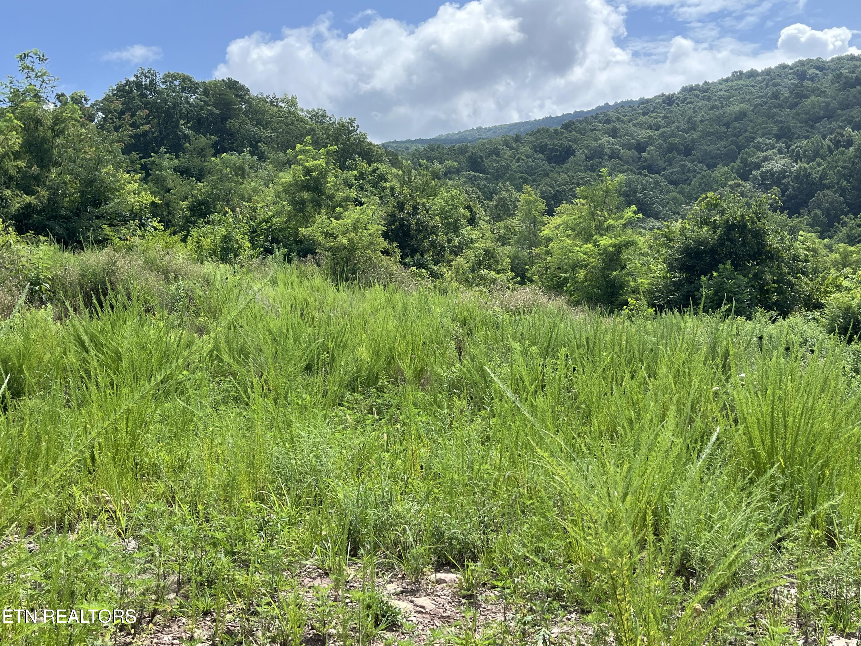 442 Billingsley Road Dunlap TN 37327