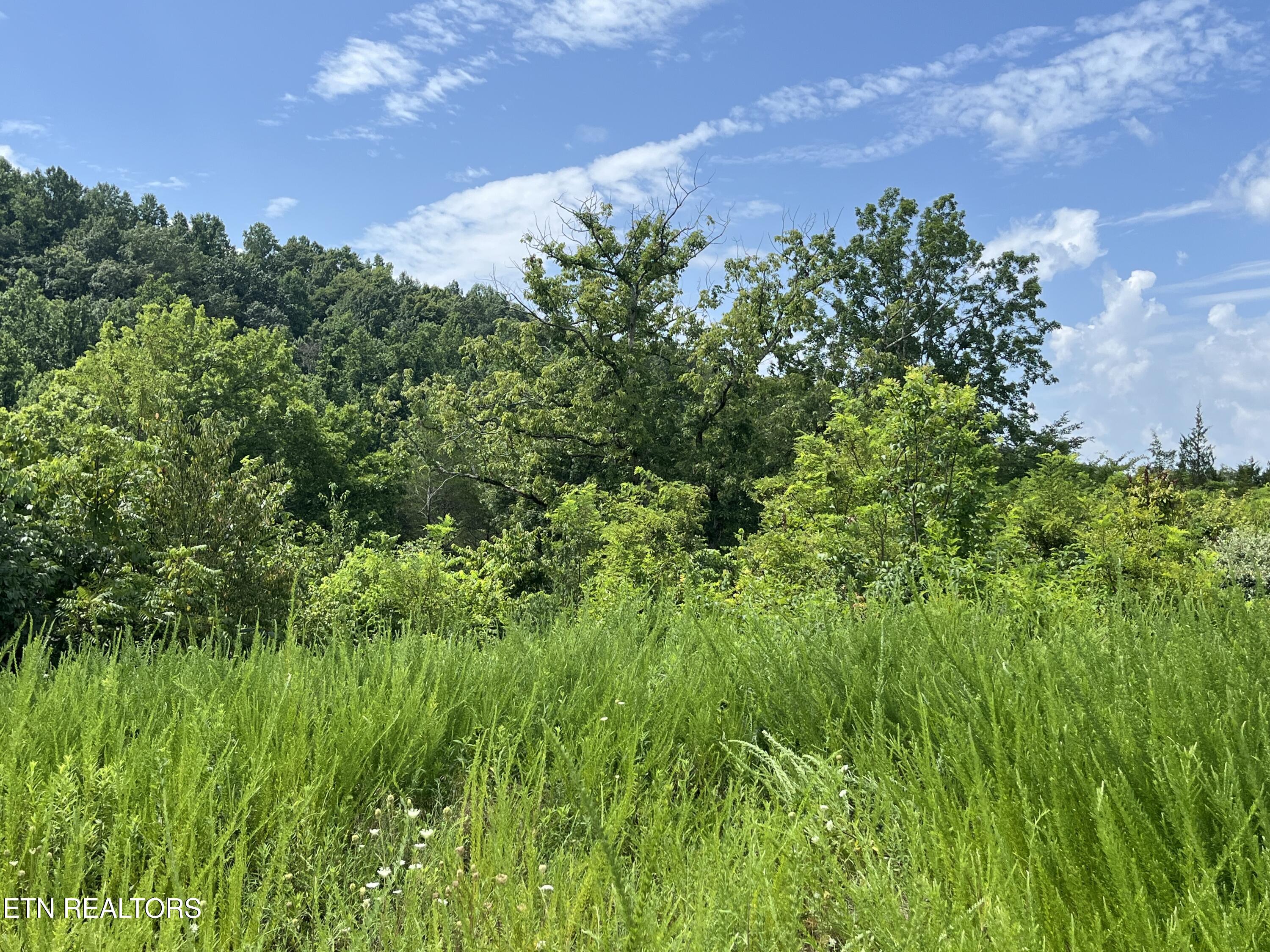442 Billingsley Road Dunlap TN 37327