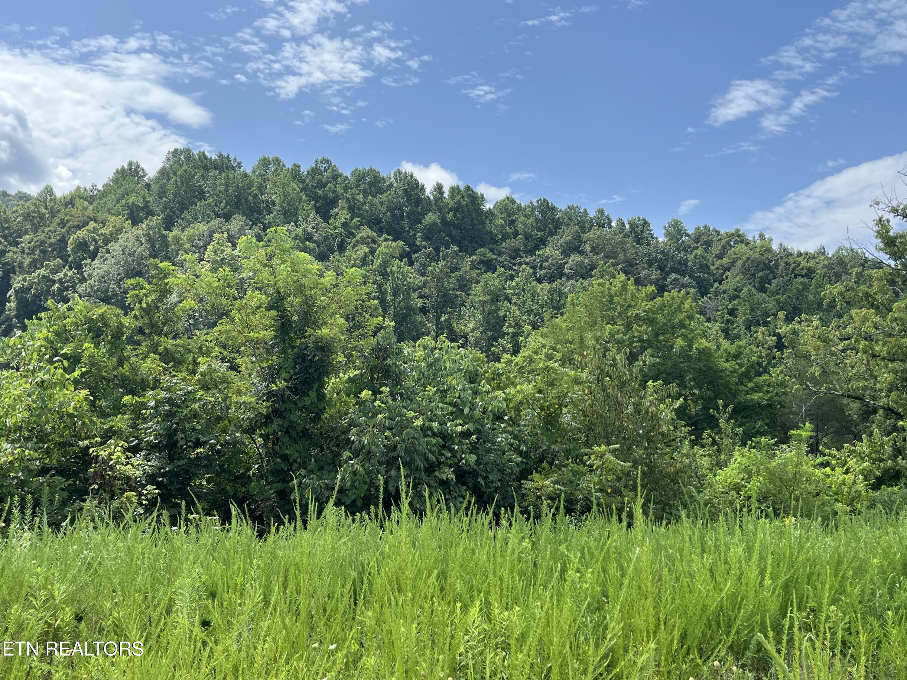 442 Billingsley Road Dunlap TN 37327
