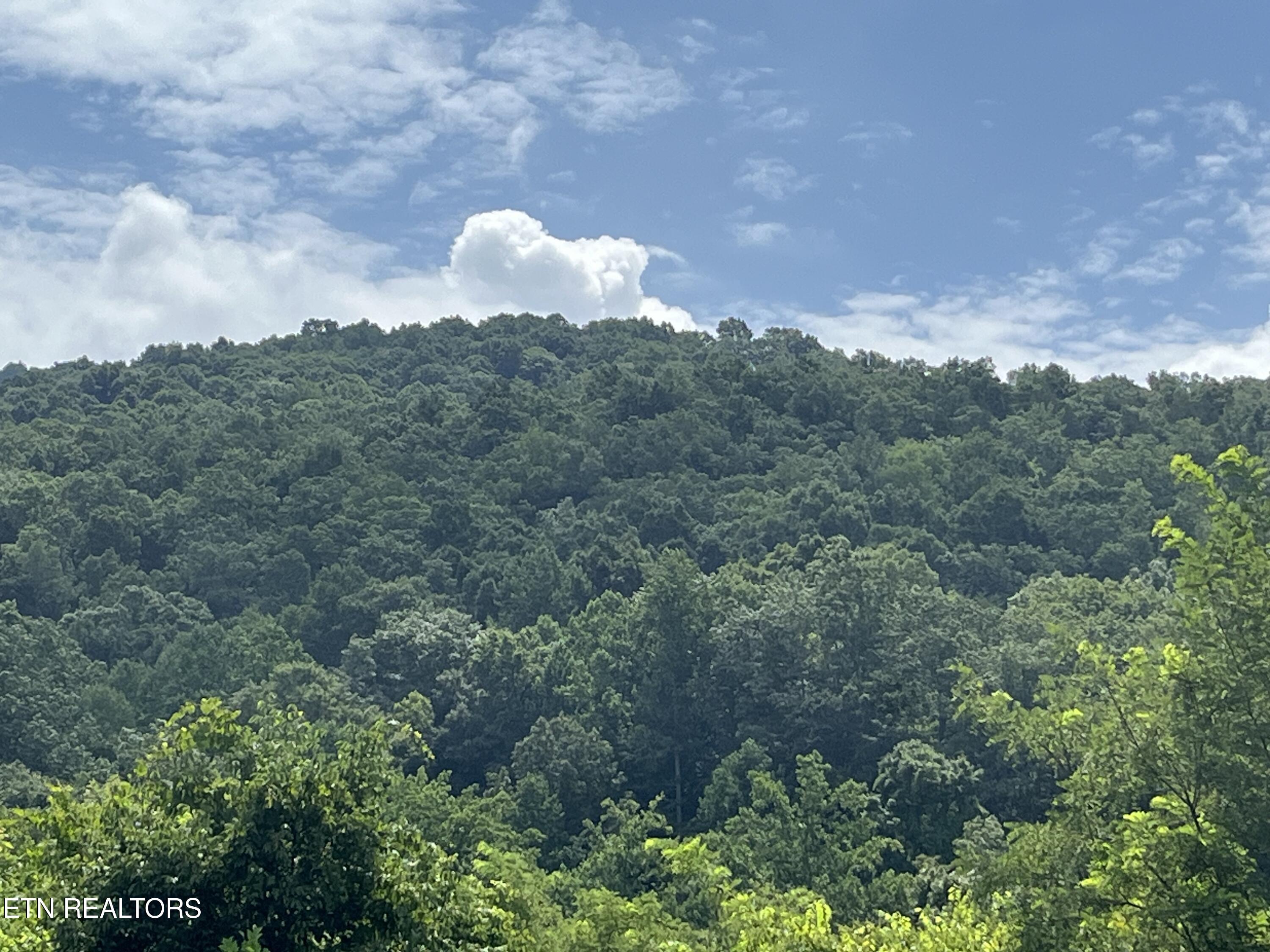 442 Billingsley Road Dunlap TN 37327