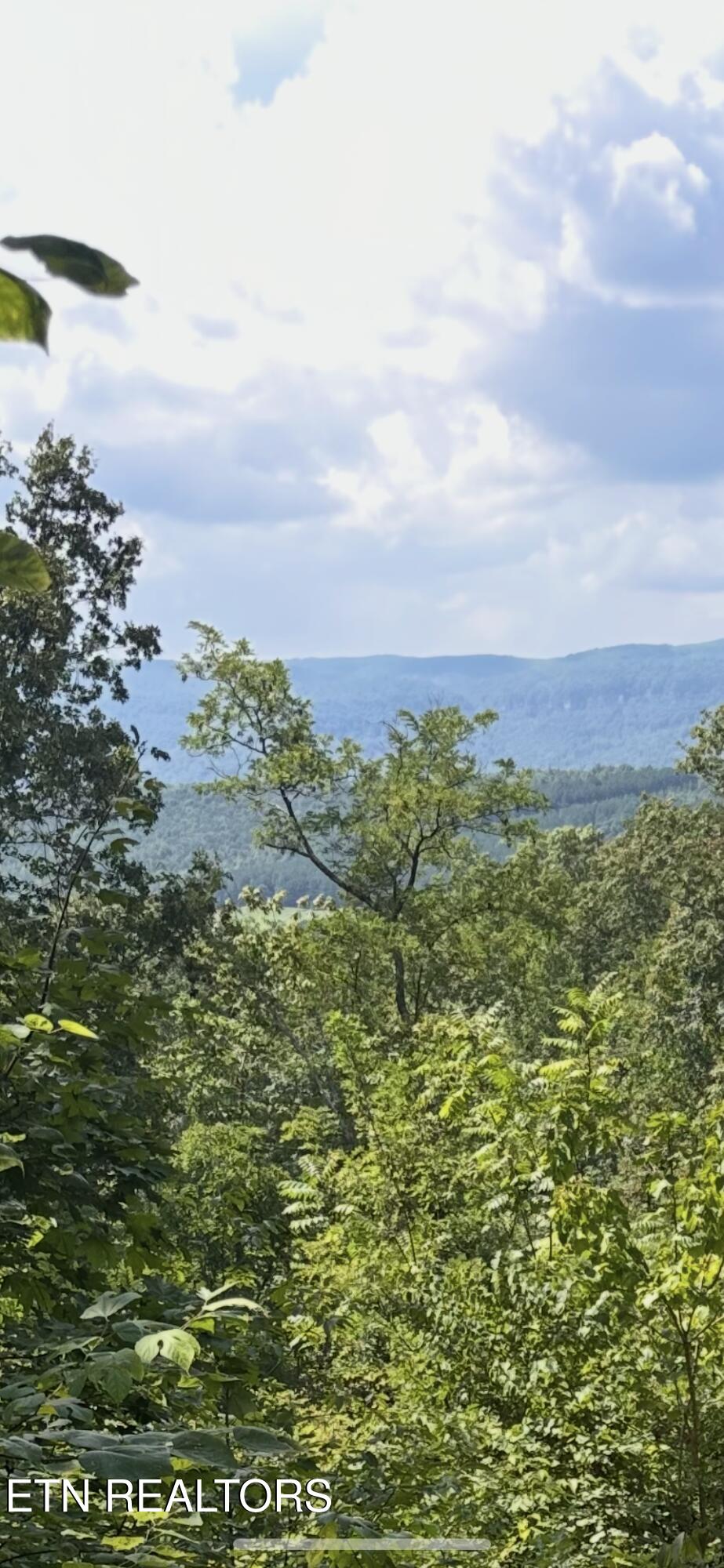 442 Billingsley Road Dunlap TN 37327