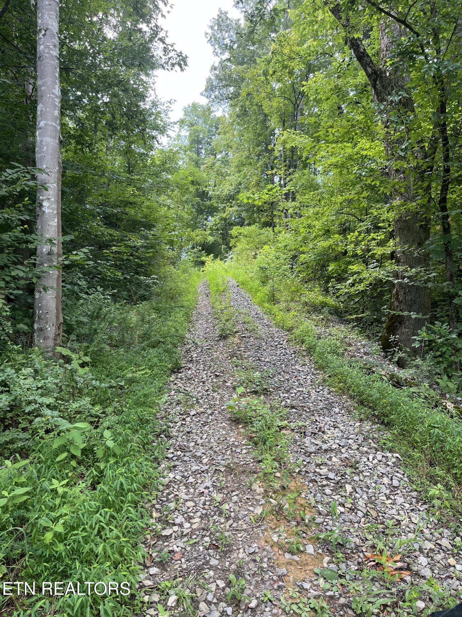 442 Billingsley Road Dunlap TN 37327