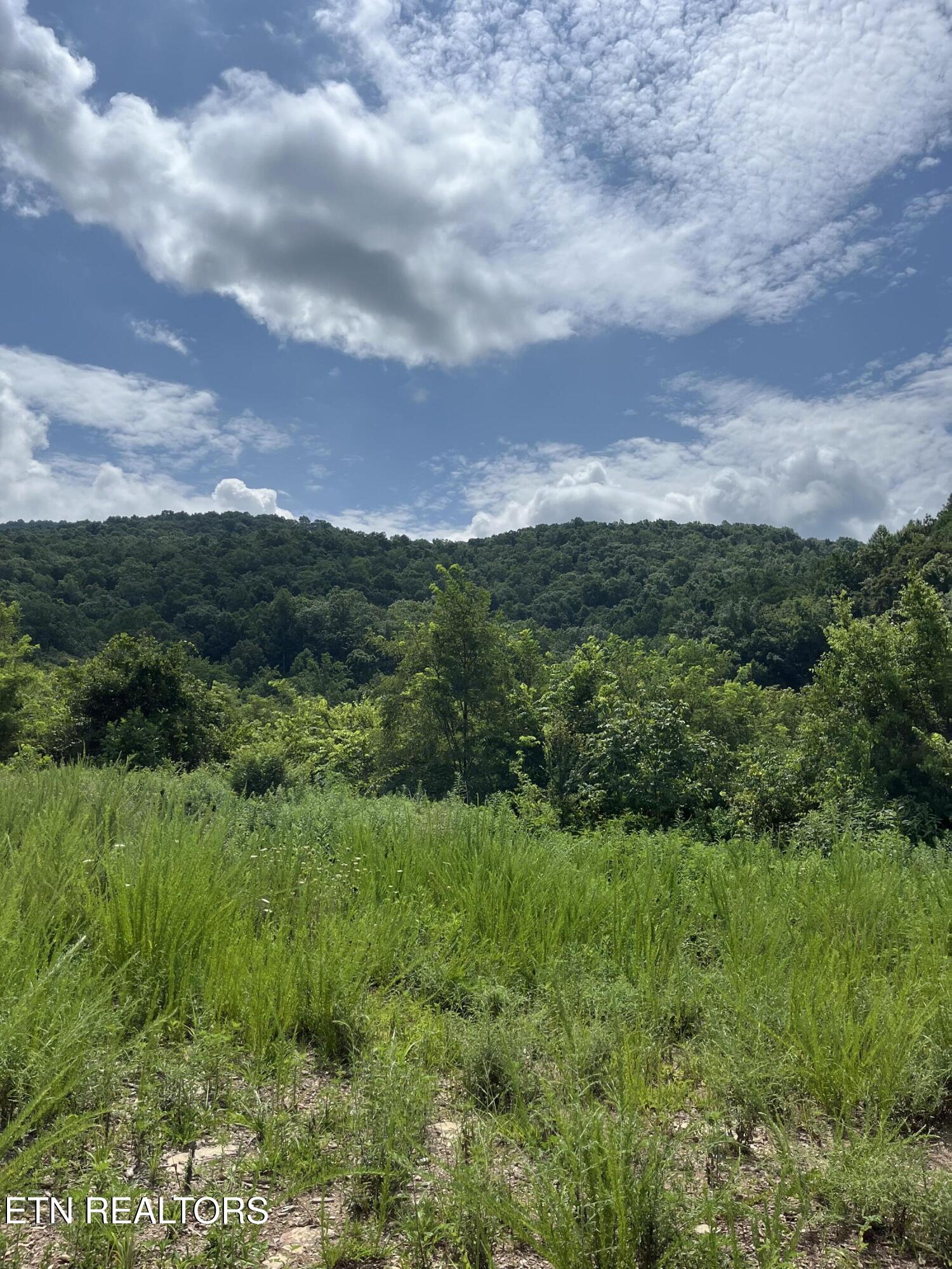 442 Billingsley Road Dunlap TN 37327