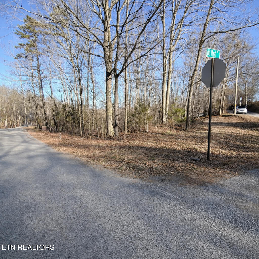 Lot 7 Bill West Road Ten Mile TN 37880