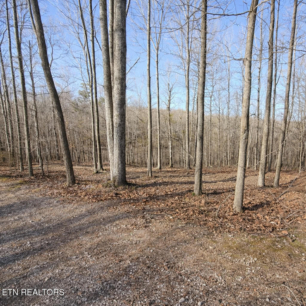 Lot 7 Bill West Road Ten Mile TN 37880