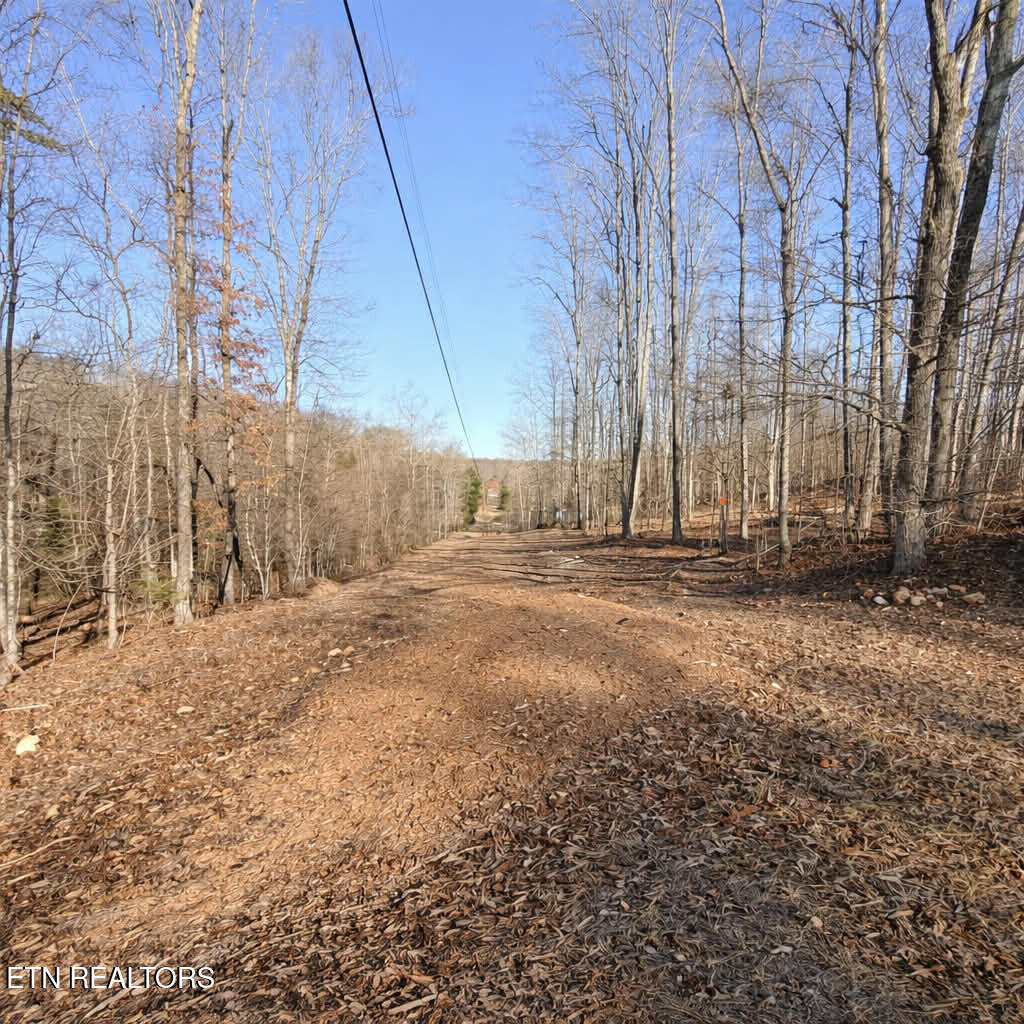 Lot 7 Bill West Road Ten Mile TN 37880