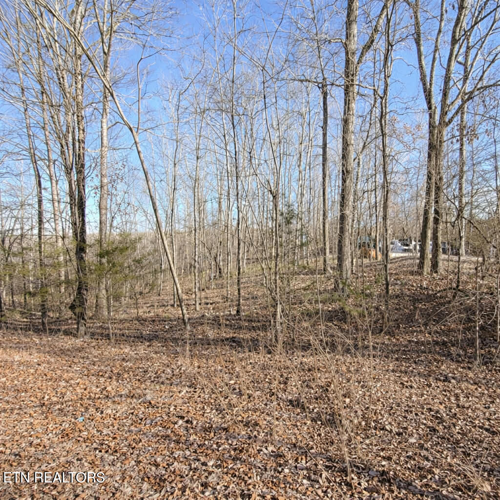 Lot 7 Bill West Road Ten Mile TN 37880
