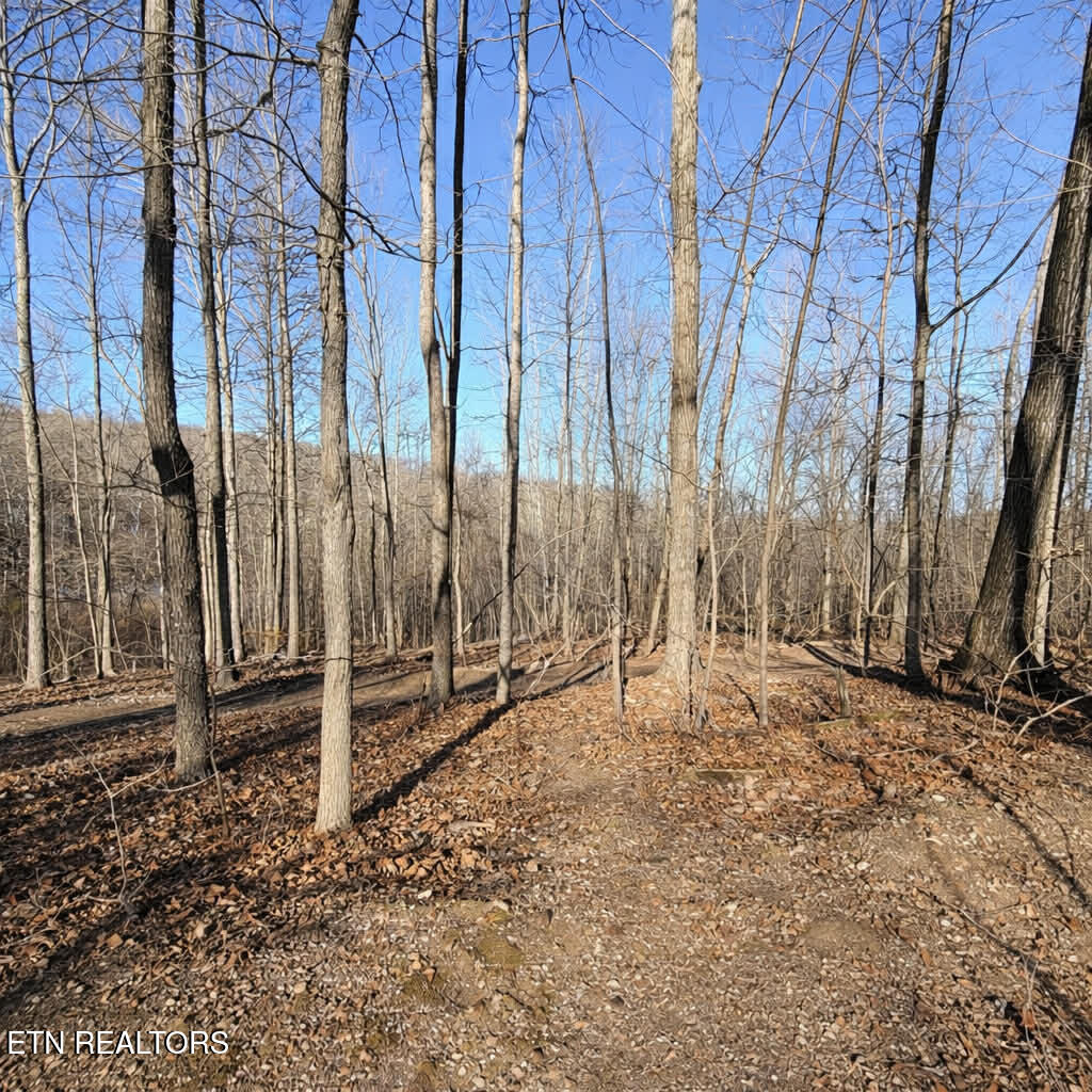 Lot 7 Bill West Road Ten Mile TN 37880