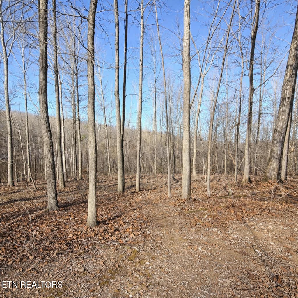 Lot 7 Bill West Road Ten Mile TN 37880