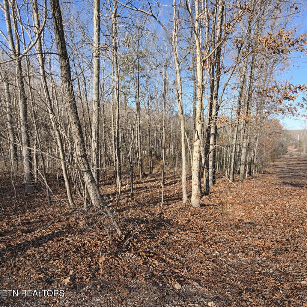 Lot 7 Bill West Road Ten Mile TN 37880
