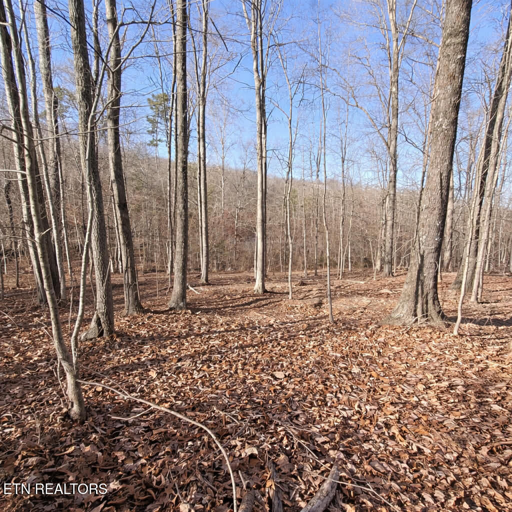 Lot 7 Bill West Road Ten Mile TN 37880