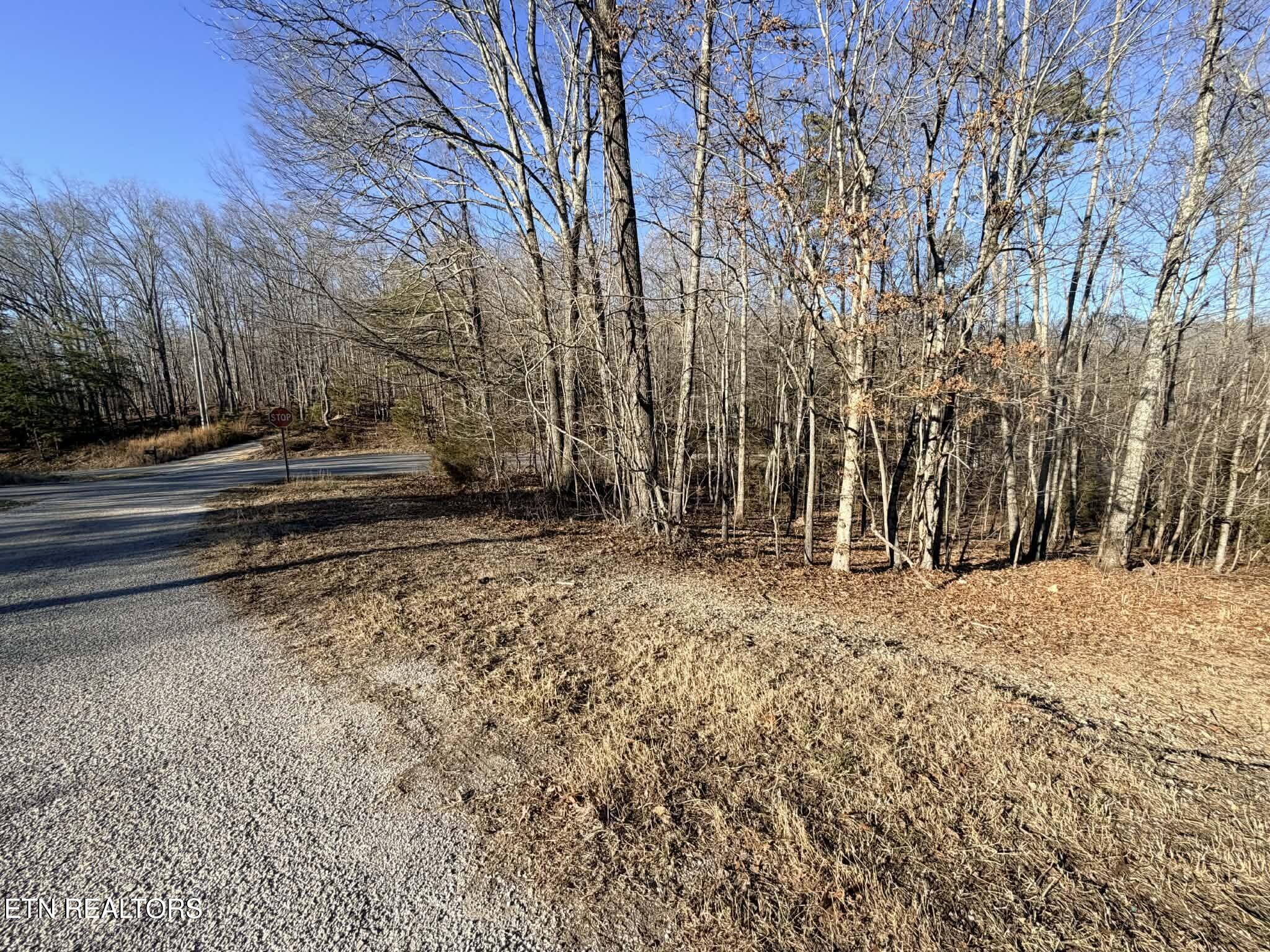 Lot 7 Bill West Road Ten Mile TN 37880