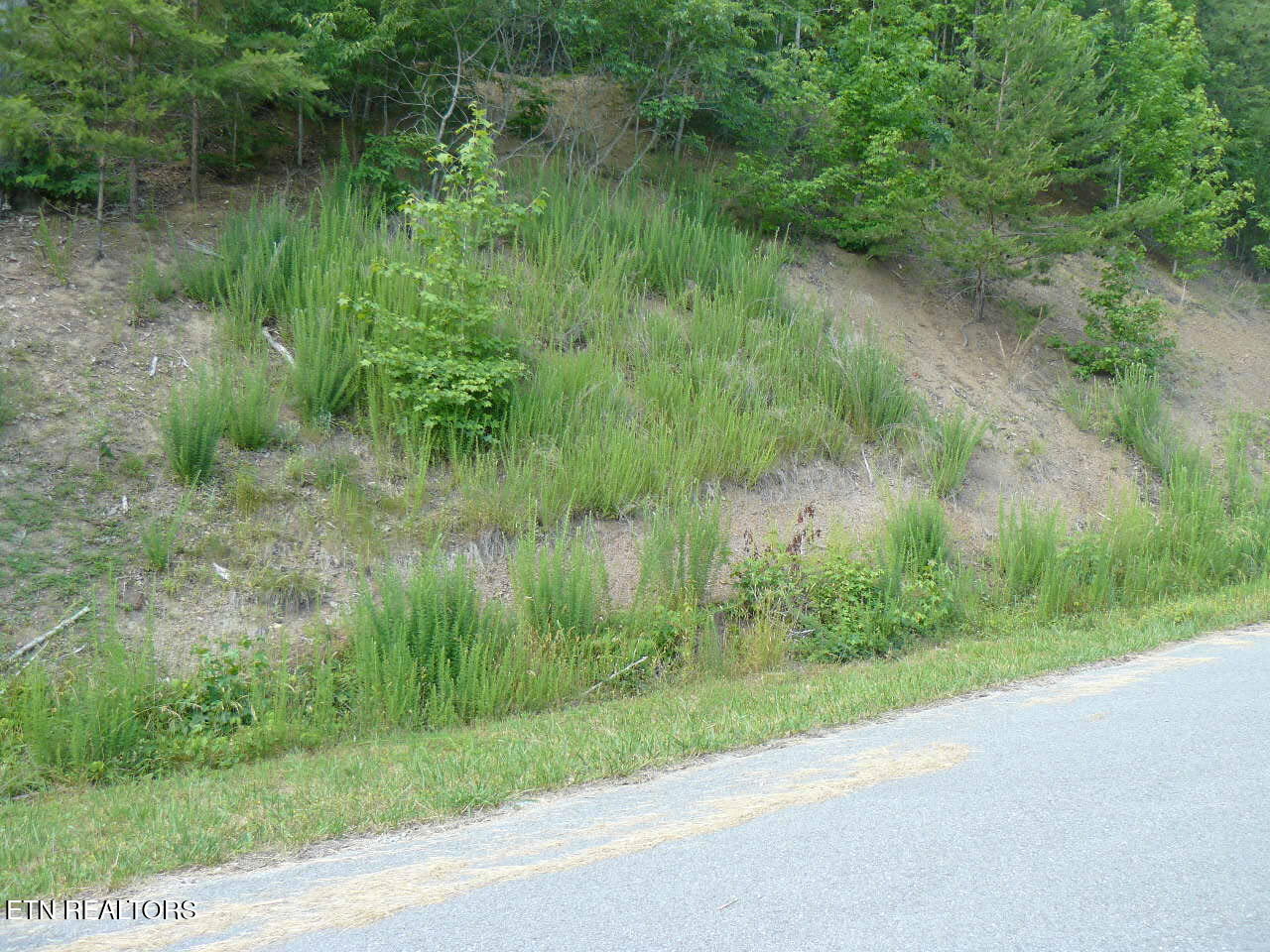 Lot 539 Whistle Valley Road New Tazewell TN 37825