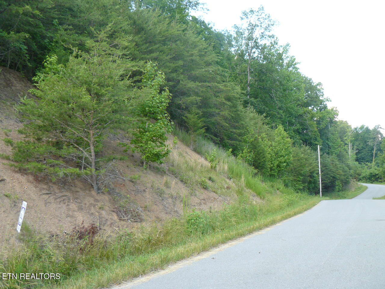 Lot 539 Whistle Valley Road New Tazewell TN 37825