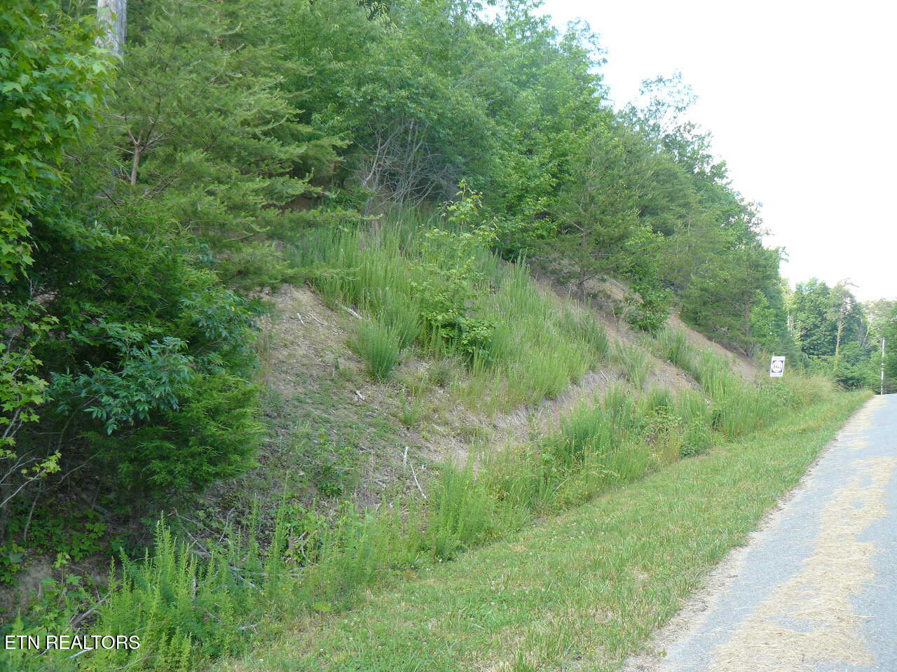 Lot 539 Whistle Valley Road New Tazewell TN 37825