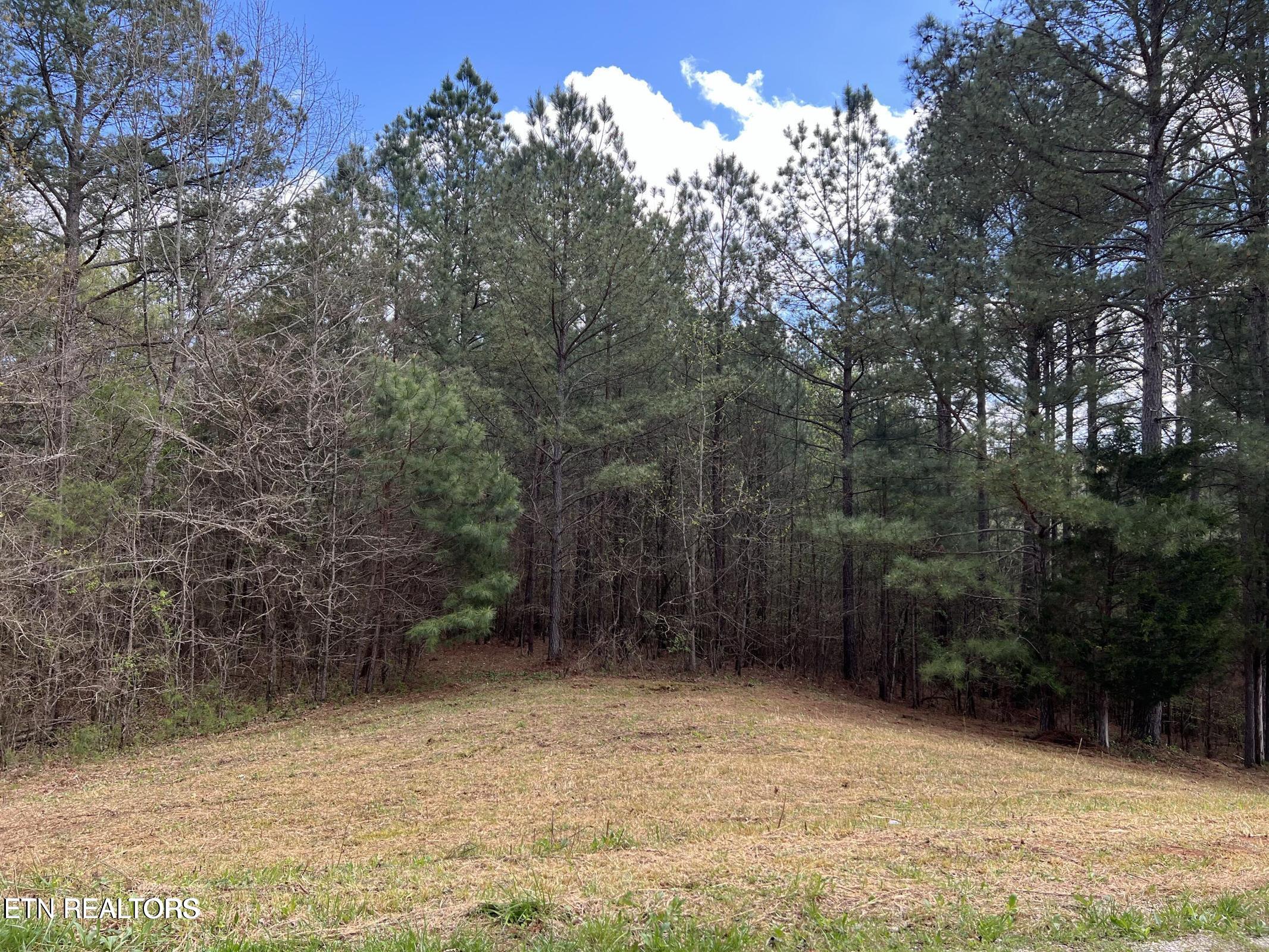 1727 Grand Pine Point Maryville TN 37801