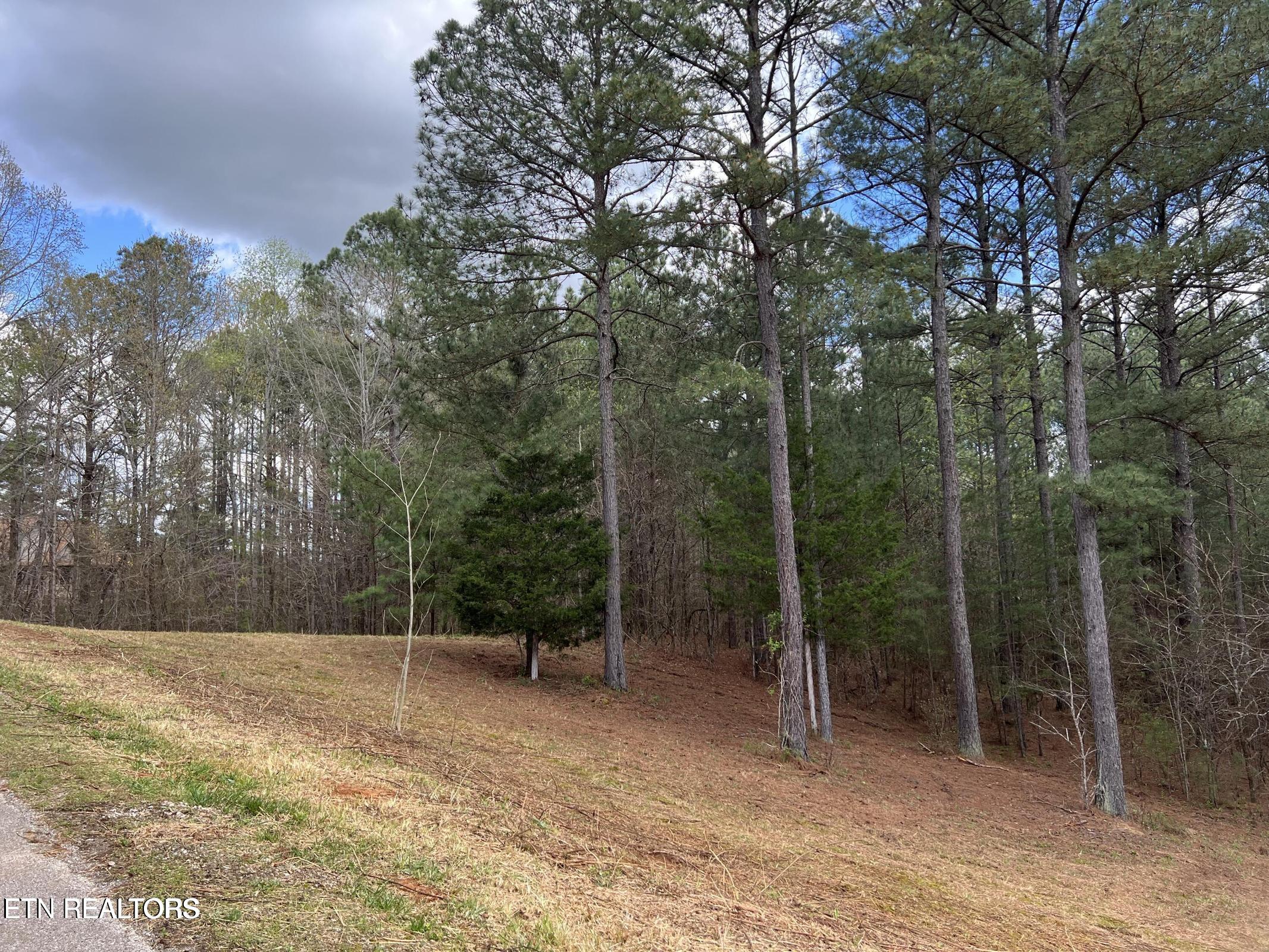 1727 Grand Pine Point Maryville TN 37801