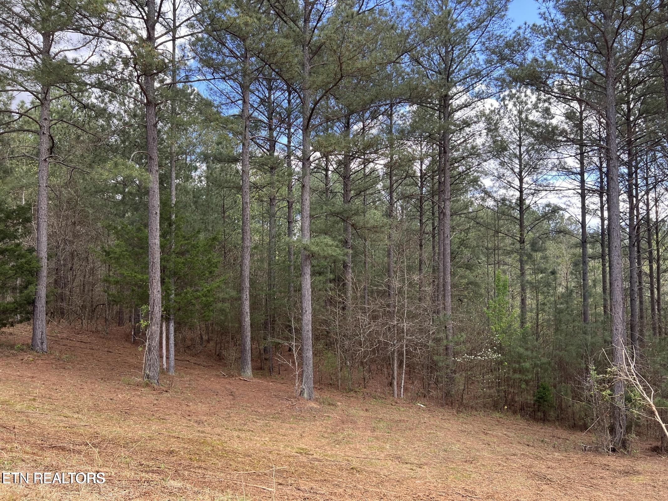 1727 Grand Pine Point Maryville TN 37801