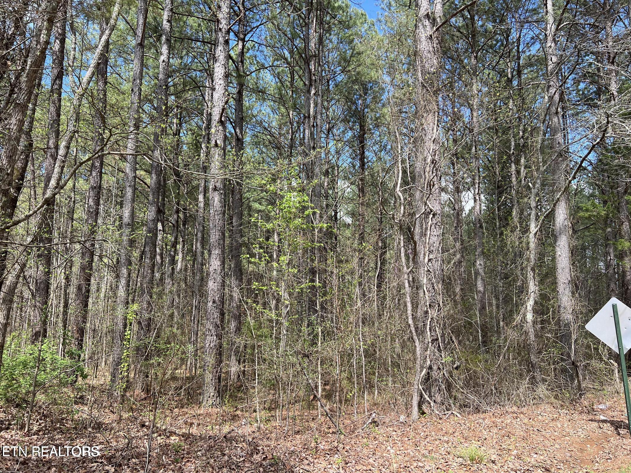 1727 Grand Pine Point Maryville TN 37801