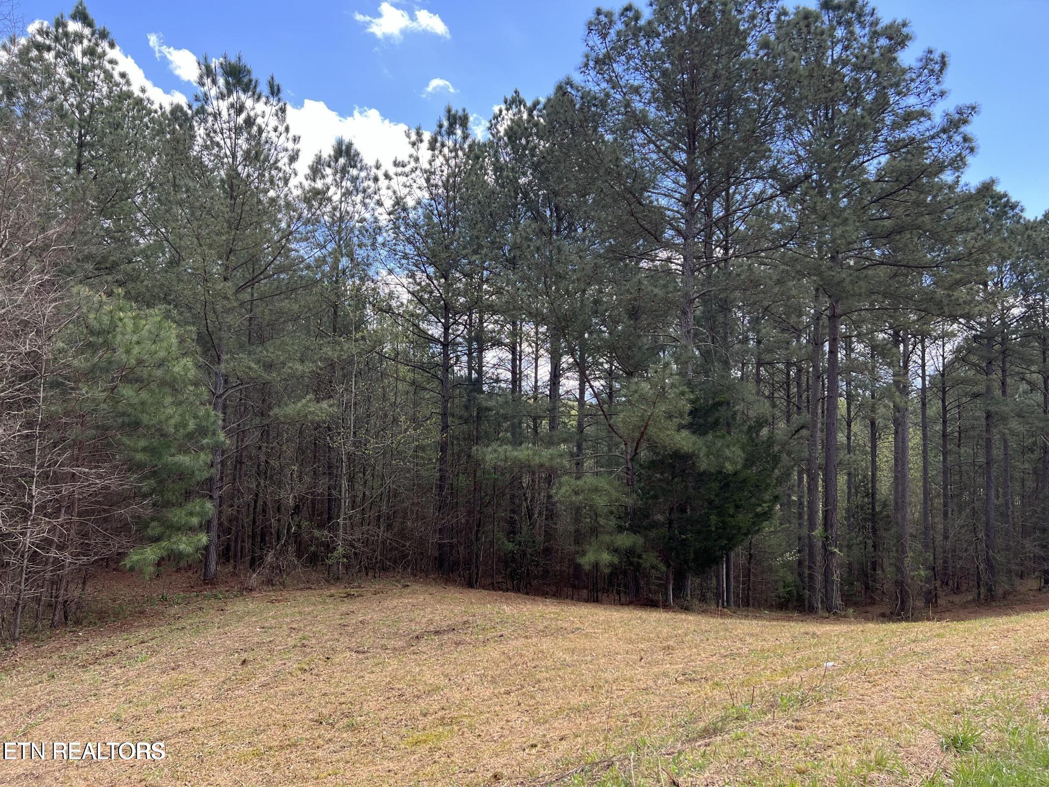 1727 Grand Pine Point Maryville TN 37801