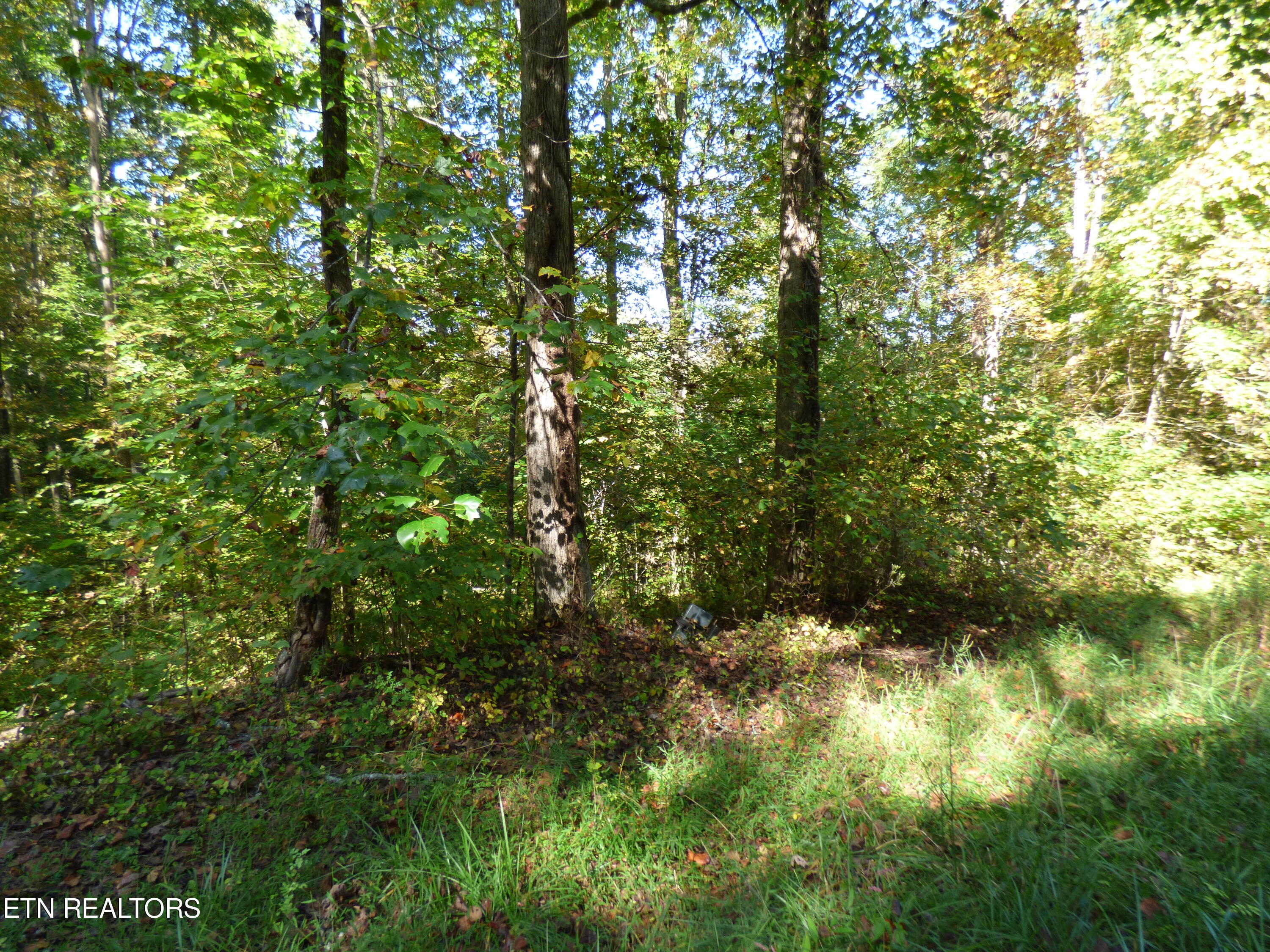 Prentice Street Crossville TN 38555